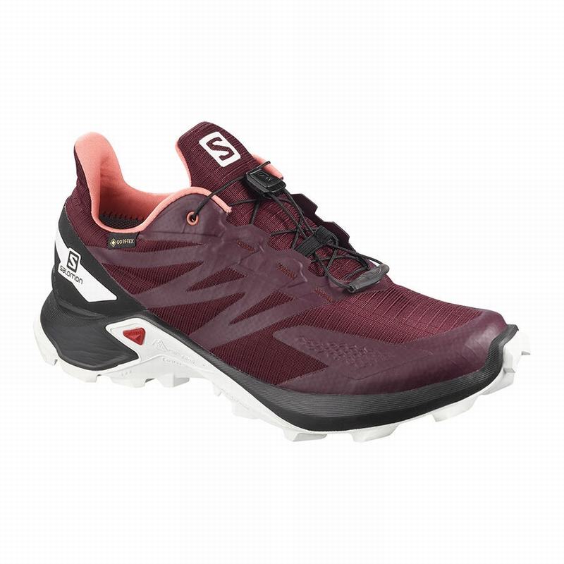 SALOMON SUPERCROSS BLAST GTX W Philippines - Women's Trail Running Shoes - Burgundy/Black | 708293-M